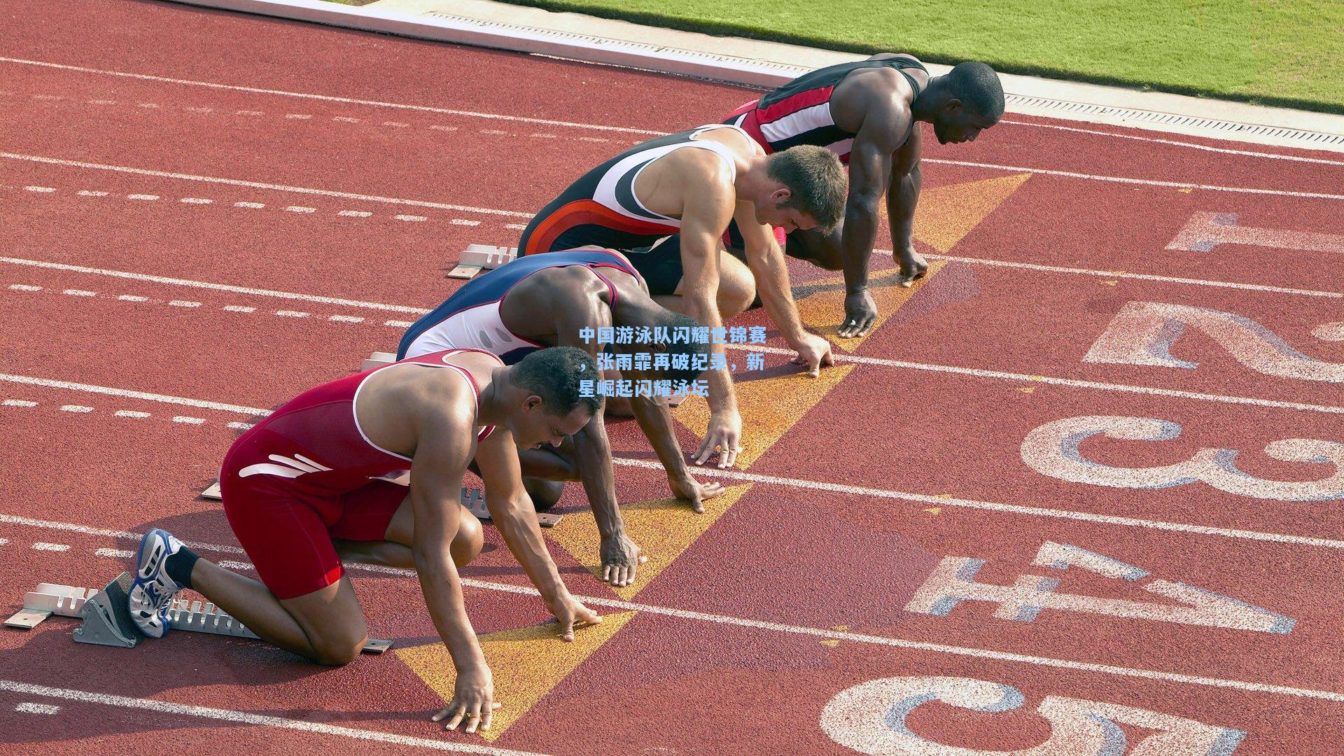 中国游泳队闪耀世锦赛,张雨霏再破纪录,新星崛起闪耀泳坛