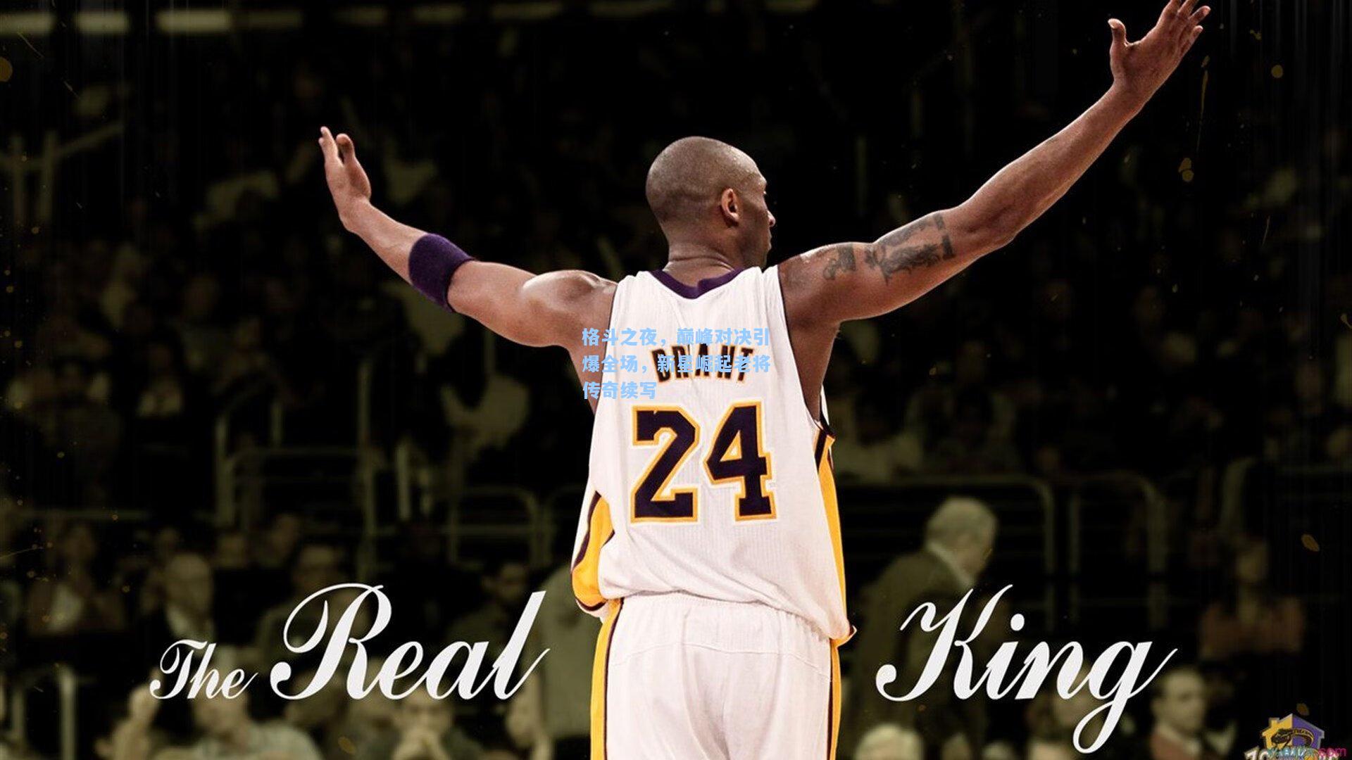 格斗之夜，巅峰对决引爆全场，新星崛起老将传奇续写